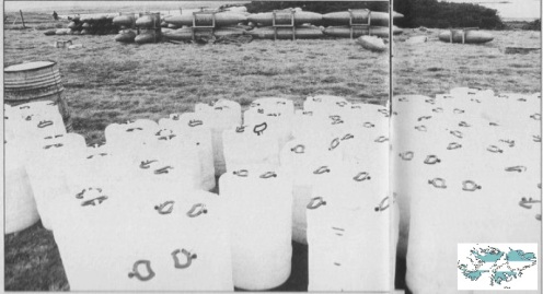 Bombas en la guerra de malvinas Bombas-de-napalm-pradera-del-ganso