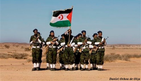 El Frente Polisario del Sahara Occidental. Frente-polisario-11