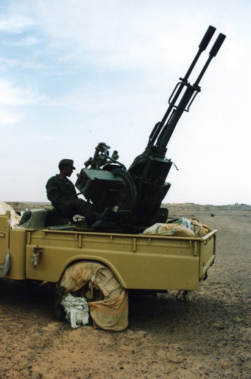 El Frente Polisario del Sahara Occidental. Frente-polisario-del-sahara-occidental-18