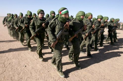 El Frente Polisario del Sahara Occidental. Frente-polisario-del-sahara-occidental-241
