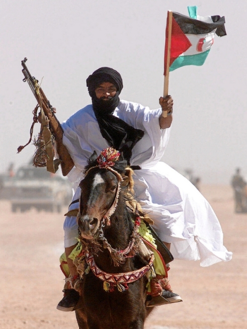 El Frente Polisario del Sahara Occidental. Frente-polisario
