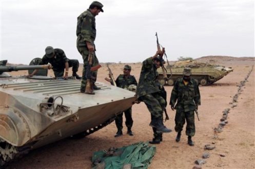 El Frente Polisario del Sahara Occidental. Polisario-arms-1