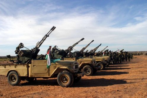El Frente Polisario del Sahara Occidental. Polisario