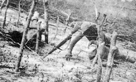 soldado paraguayo muerto-villamontes